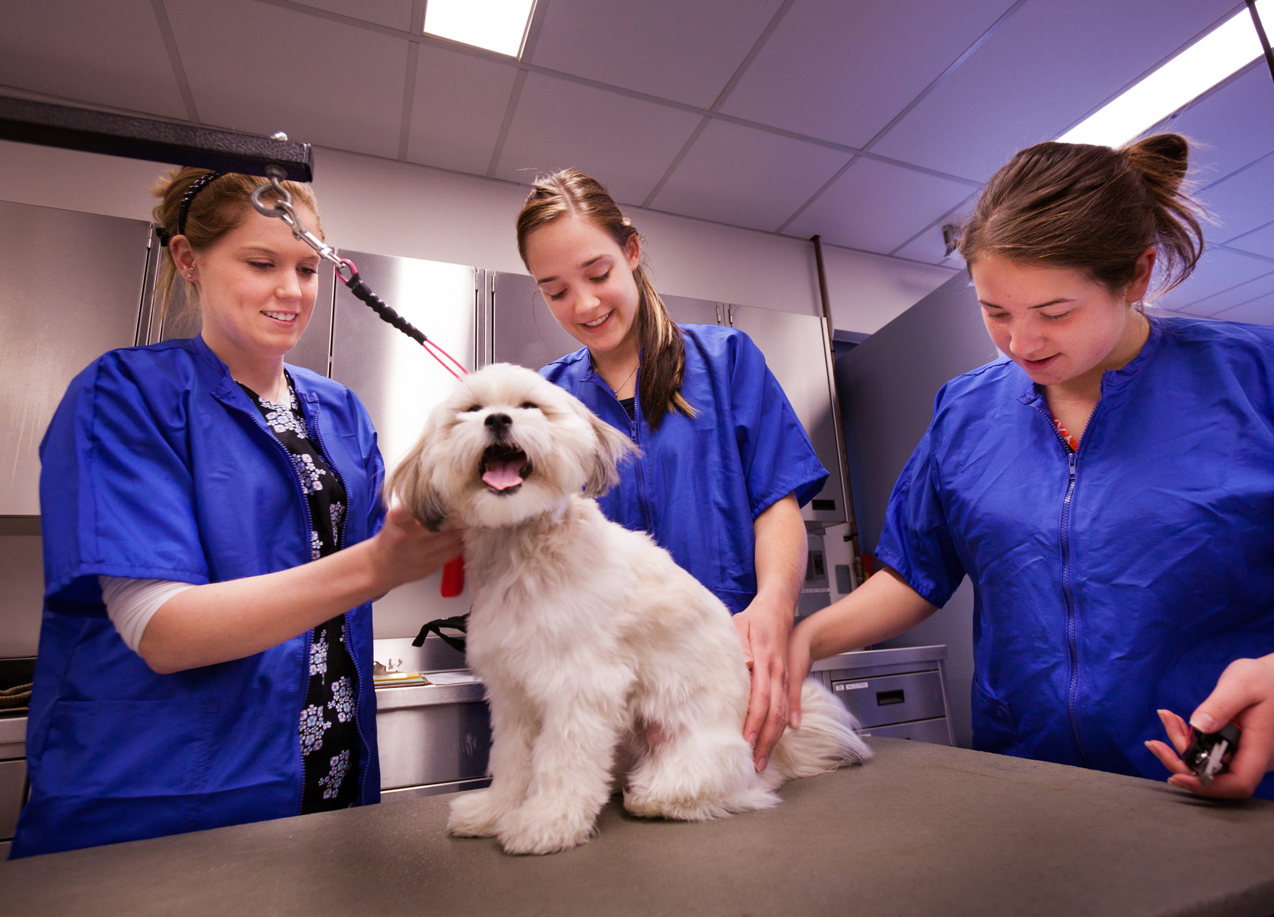 Animal Care students with a dog